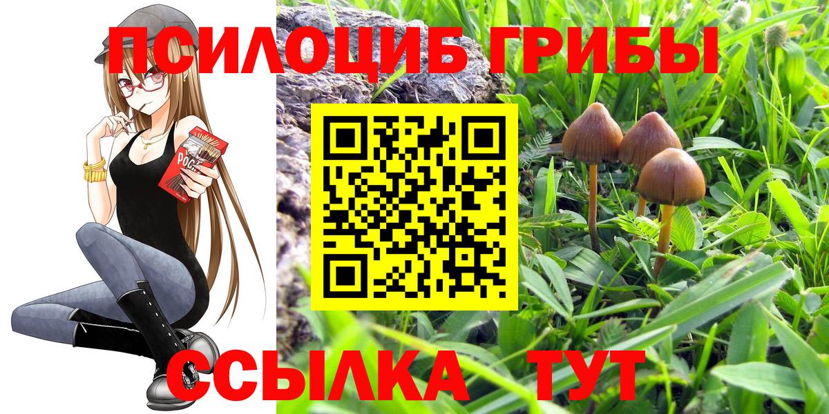 Галлюциногенные грибы GOLDEN TEACHER Ачинск
